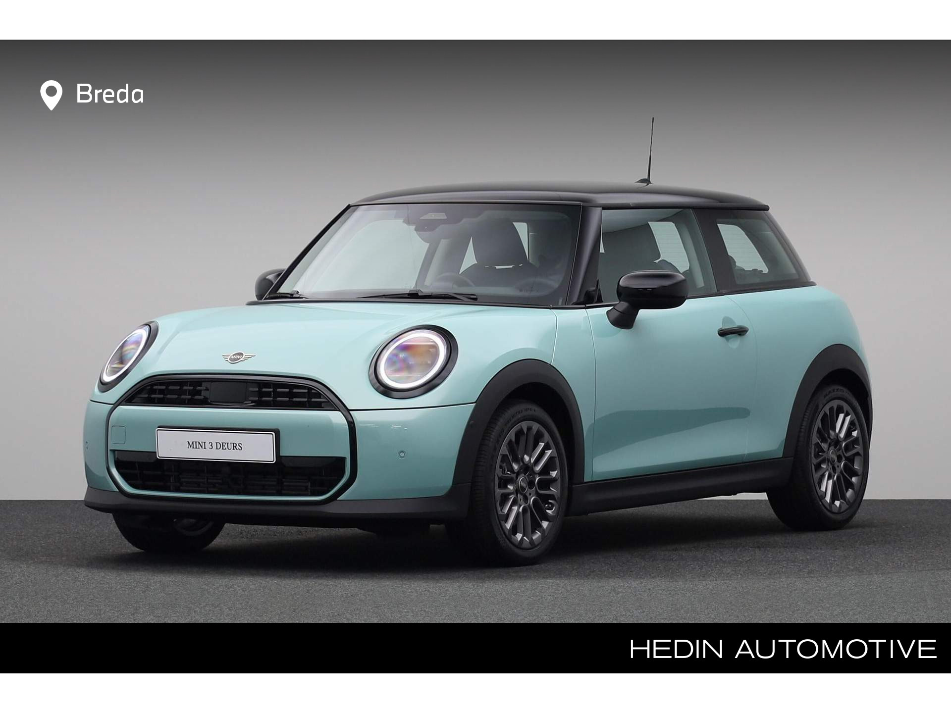 Mini Mini